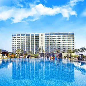 book here